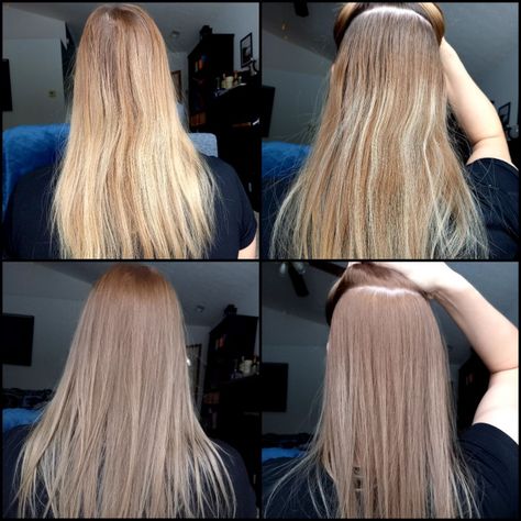 Natural Dark Blonde, Highlighted Hair, Blonde Tones, Medium Blonde, Permanent Hair Color, Yellow Tones, Dark Blonde, Ash Blonde, Orange And Yellow