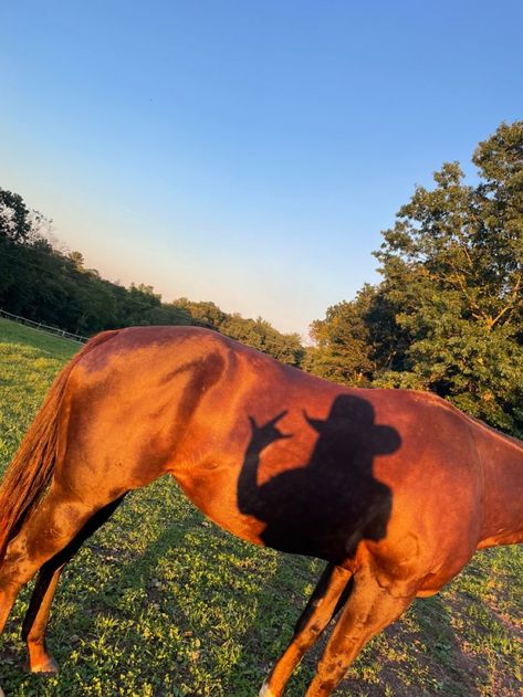 Devney Perry Aesthetic, Devney Perry, Horse Photography Poses, Horsey Life, Foto Cowgirl, Pictures With Horses, Beautiful Horses Photography, Cowgirl Pictures, Equestrian Aesthetic