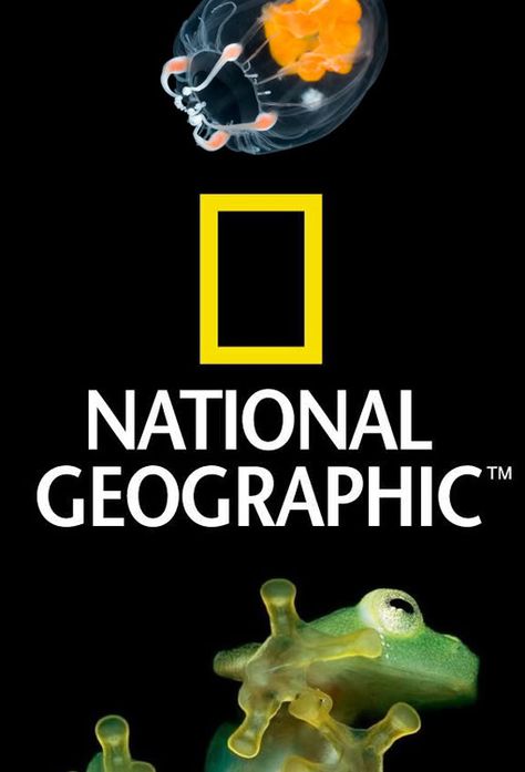 Movies Logo, National Sorry Day, Watch Free Tv Shows, Free Tv Shows, Free Tv, National Geographic Magazine, Australian Curriculum, Movie Streaming, Business Leadership