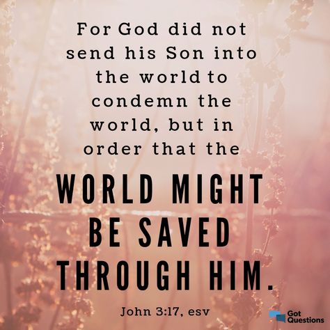 John 3 17, John 17, New American Standard Bible, Beautiful Bible Verses, Passion For Life, Biblical Verses, John 3, God The Father, Favorite Bible Verses