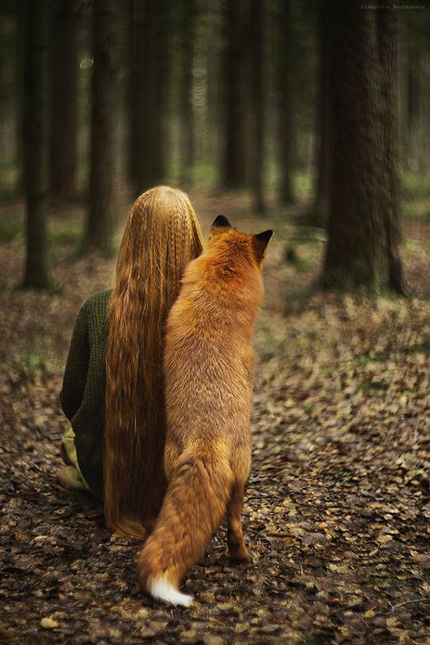 Alexandra Bochkareva, Animals And Humans, People And Animals, Fox Spirit, Photos Of People, Orange Fox, Graphic Design Software, Beautiful Stories, The Balance