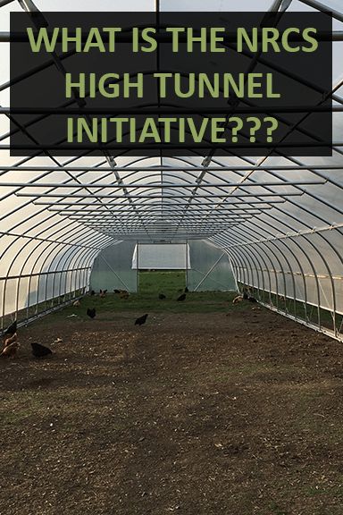 High Tunnel Diy, High Tunnel Greenhouse How To Build, Garden High Tunnels, Diy High Tunnel, High Tunnel Gardening, Desert Permaculture, High Tunnel Greenhouse, Tunnel Garden, Camper Projects