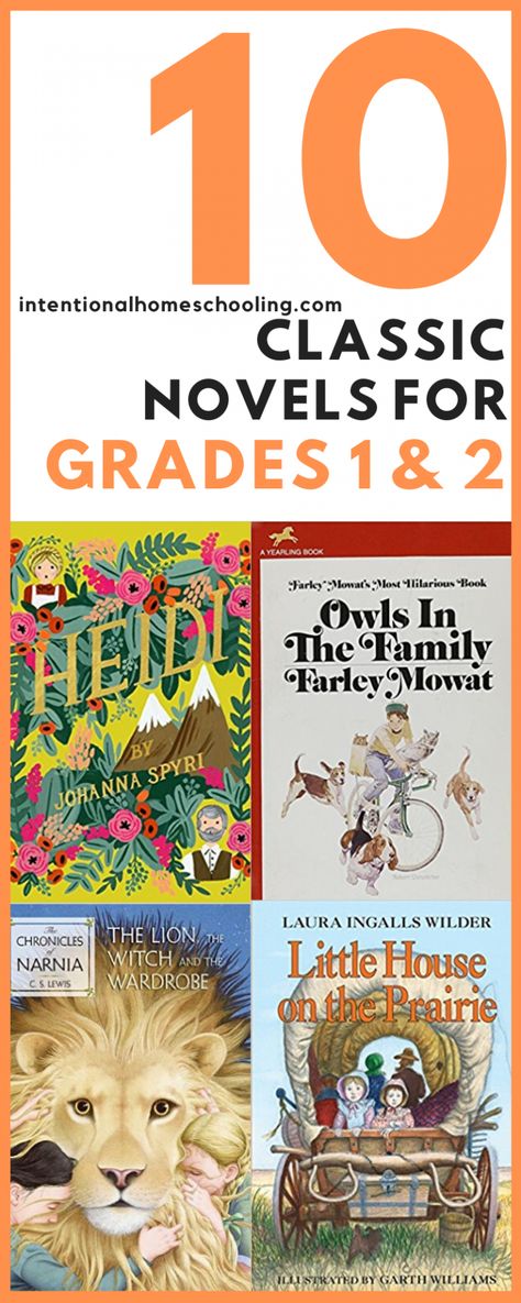 Classic Read Aloud Books, Language Art 1st Grade, Elementary Books To Read, Books For Second Graders, Books For 1st Graders, Books For First Graders, Read Aloud Chapter Books, 2nd Grade Books, Easy Chapter Books