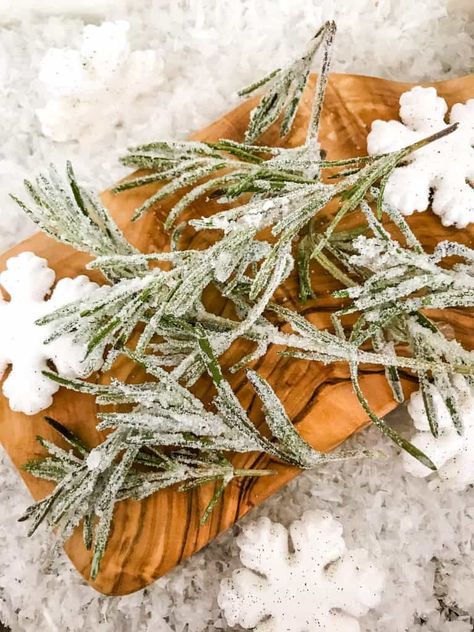 Sparkling Rosemary (Sugared Rosemary) is a beautiful holiday garnish for desserts and cocktails. Great for Christmas and winter parties. #rosemary #christmascocktails #wintercocktails #winterwonderland Olive Garden Tuscan Soup, Candied Rosemary, Sugared Rosemary, Copycat Olive Garden Zuppa Toscana, Copycat Olive Garden Zuppa, Olive Garden Zuppa Toscana Soup, Potato And Kale Soup, Zuppa Toscana Soup Recipe, Toscana Soup Recipe