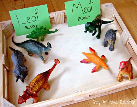 Leaf or meat eating dinosaurs - Stay At Home Educator Dinosaurs Eyfs, Dinosaur Unit Study, Dinosaur Lesson, Dinosaur Theme Preschool, Dinosaur Activities Preschool, Dinosaur Projects, Dinosaurs Preschool, Dinosaur Activities, Dinosaur Crafts