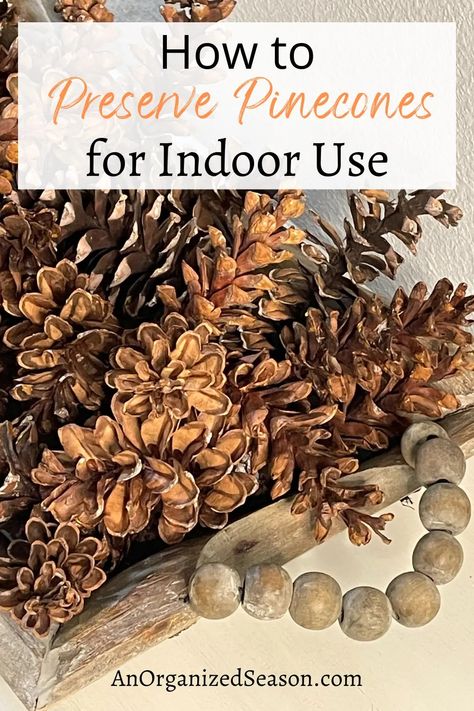 How to Preserve Pine Cones for Indoor Use - An Organized Season Preserve Pinecones, White Pine Cone, White Pine Tree, Winter Arrangements, Diy Pinecone, Diy Table Decor, Parchment Paper Baking, Pine Cone Decorations, Cones Crafts