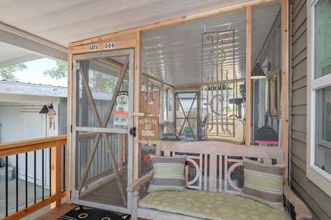 porch catio photos - Google Search Screened In Porch For Cats, Catio Ideas, Outdoor Pet Enclosure, Cat Climbing Wall, Box Room, Cat Patio, National Cat Day, Cat Sanctuary, Pet Enclosure