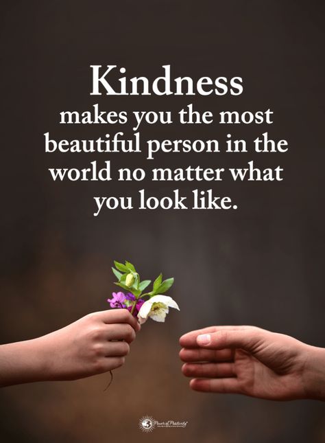 Kindness Quotes Kindness makes you the most beautiful person in the world no matter what you look like. Love Anniversary Quotes, Kindness Quotes, Power Of Positivity, Morning Inspirational Quotes, Good Thoughts Quotes, Beautiful Person, Good Life Quotes, Reality Quotes, Wise Quotes