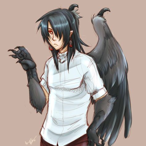 Crow Human Hybrid, Crow Hybrid, Male Harpy, Monster People, Winged People, Best Drawing Ideas, Monster Boy, Hybrid Art, Fantasy Mermaids