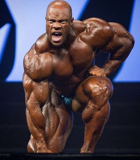 Phil Heath Phil Heath Bodybuilding, Iron King, Phil Heath, Dynamic Pose, Gym Inspiration, Dynamic Poses, Anatomy Reference, Loving Your Body, Anatomy Art