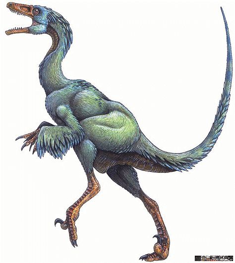 Feathered Dinosaurs - Troodon Feathered Dinosaurs, Dinosaur Facts, Dinosaur Tattoos, Prehistoric Wildlife, Dinosaur Images, Dinosaur Pictures, Prehistoric World, Ancient Animals, Paleo Art