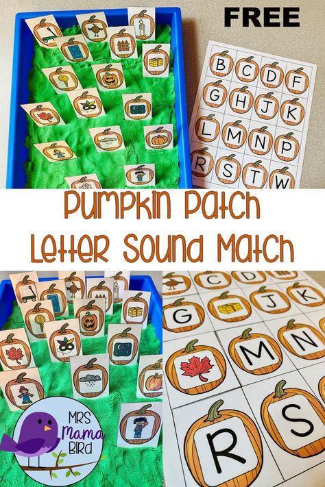 Mini Pumpkin Patch, Beginning Letter Sounds, Fall Begins, Sound Free, Letter Sound, Beginning Sound, Letter Matching, Phonological Awareness, Free Lettering