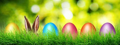 Easter Cover Photo Facebook, Easter Cover Photos, Orthodox Easter, Easter Messages, Photo Facebook, Facebook Cover Images, Easter Backgrounds, Easter 2021, Fb Cover Photos