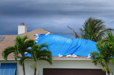 Florida Governor to Sign Property Insurance Measure But Says State Needs to Do More Colorbond Roofing, Roof Damage, Standing Seam Metal Roof, Roof Inspection, Small Apartment Living Room, Standing Seam, Roof Types, Small Apartment Living, Up House