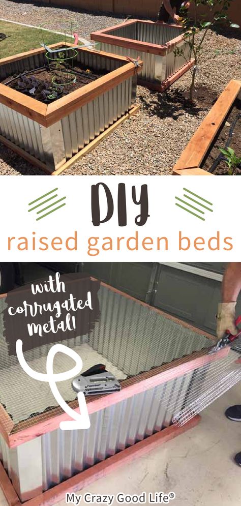 Raised Garden Beds With Pergola, Raised Bed Planters Ideas, Grow Zucchini, Diy Raised Garden Beds, Raised Vegetable Garden, Growing Vegetables At Home, Raised Garden Beds Diy Vegetables, Garden Bed Layout, Metal Garden Beds