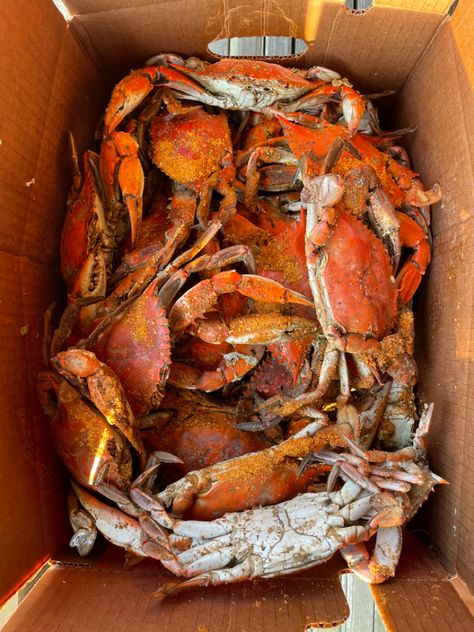 Blue Crab Boil, Crab Aesthetic, Blue Crab Recipes, Crab Feast, Maryland Blue Crab, Maryland Crabs, Blue Crabs, Cooking The Perfect Steak, Western Background