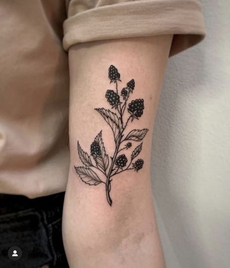 Blackberry Stamp Tattoo, Wild Raspberry Tattoo, Blackberry Tattoo Small, Berry Tattoo Ideas, Blackberry Tattoos, Nature Patchwork Tattoo Sleeve, Mulberry Tattoo, Blackberries Tattoo, Raspberry Tattoos