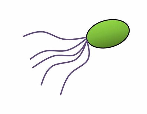 Desgarga gratis los mejores gifs animados de bacterias. Imágenes animadas de bacterias y más gifs animados como gracias, angeles, animales o nombres" Medical Animation, Facebook Memes, Gif, Medical, Humor, Memes, Quick Saves, Humour