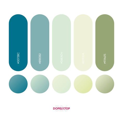 What should we call this Palette? Dopely Colors #326Get this Palette from https://dopely.top/ or edit it until your happy 😊-Create something amazing with this Palette and use #MadewithDopelyColors to get featured❤-More Color Palette Inspirations @Colors.DopelyFree Design Resources @Design8ioAwesome Design Jobs @DopelyJobs  #Regram via @mr.pugo Html Color Codes, Website Color Palette, Color Design Inspiration, Colorful Interior Design, Hex Color Palette, Web Colors, Color Script, Fresh Color Palette, Green Colour Palette