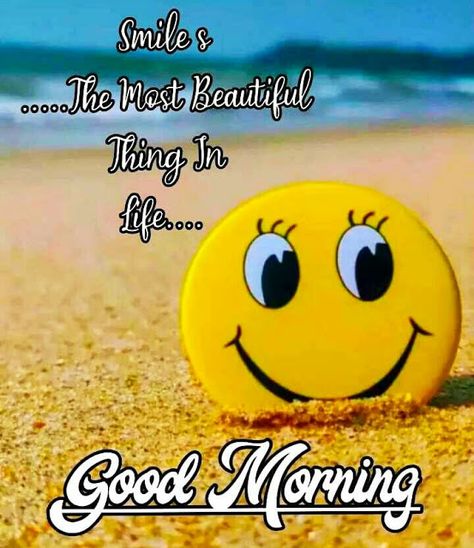 Happy Morning Images, सुप्रभात संदेश, Daily Wishes, Special Good Morning, Morning Msg, Quotes Good Morning, Happy Morning Quotes, Good Morning Inspiration, Morning Pics