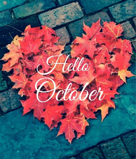 Happy First Day Of October 🍁🍁🍁 Happy First Day Of October, Hello October Images, October Images, November Images, First Day Of October, New Month Wishes, Autumn Phone Wallpaper, All The Months, October Wallpaper