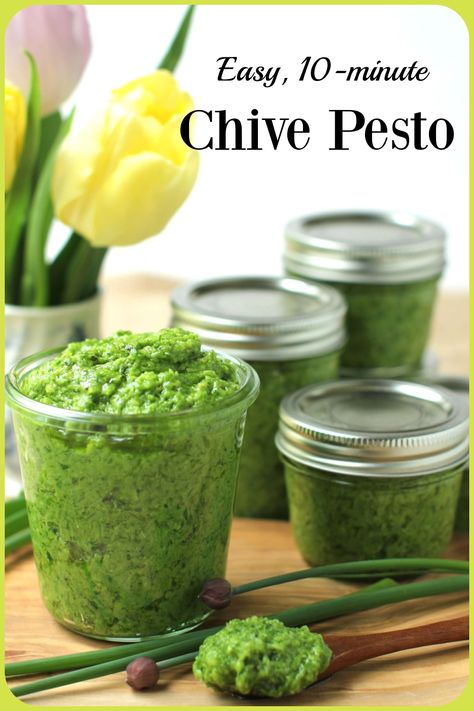 Chive Pesto Chive Pesto, Keto Dips, Pesto Recipes, Egg Pasta, Sauteed Shrimp, How To Make Pesto, Veggie Dip, Canadian Food, Roasted Meat