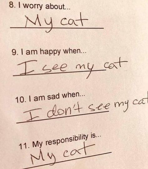 Good Answer Cat Quotes, Best Answer, Clothes Patterns, I'm Sorry, What’s Going On, My Cat, Crazy Cat Lady, Infj, Crazy Cats