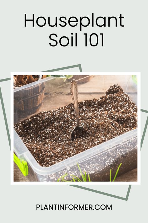 Discover the power of optimal soil for your houseplants. Our Houseplant Soil 101: Definitive Soil Guide for Houseplants will teach you everything you need to know about choosing and maintaining the perfect environment for your green friends. Say goodbye to drooping leaves and hello to lush, blooming plants! 🌿🌱 Indoor Plant Soil Mixture, Epipremnum Pinnatum, Ficus Elastica, Soil Ph, Sandy Soil, Earthworms, Peat Moss, Blooming Plants, Organic Fertilizer