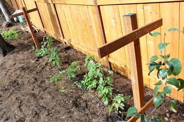 How to Build a Raspberry Trellis | eHow Raspberry Trellis Ideas How To Build, Raspberry Trellis Ideas Diy, Raspberry Support Ideas, Homestead Necessities, Raspberry Trellis Ideas, Berry Trellis, Snap Pea Trellis, Allotment Planner, Blackberry Trellis