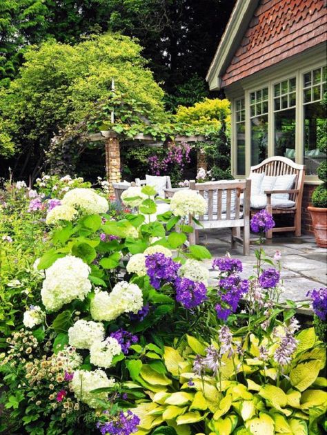 Landscaping with Hydrangeas is popular due to their captivating display of beautiful flowers and foliage. If right growing conditions are provided, it is also an easy to care shrub. Landscaping With Hydrangeas, Hydrangea Tree, Hydrangea Landscaping, Hydrangea Garden, Farmhouse Landscaping, Front Landscaping, Garden Shrubs, Flower Landscape, Diy Landscaping