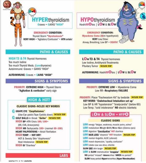 Hyperthyroid Vs Hypothyroid Nursing, Endocrine Disorders Nursing, Endocrine Medications Nursing Students, Hypothyroid Vs Hyperthyroid, Hypercalcium Nursing, Siadh Nursing Mnemonic, Simple Nursing Study Guides Endocrine, Dka Vs Hhs Nursing, Hyperthyroid Vs Hypothyroid