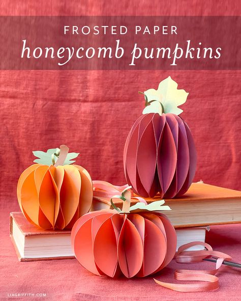 Frosted Paper Honeycomb Pumpkins Pattern & Tutorial - Lia Griffith Diy Paper Book Pumpkins, Construction Paper Pumpkins, Paper Pumpkins Craft, Fall Cricut Paper Projects, Fall Origami Decor, Honeycomb Paper Diy, Origami Thanksgiving Decorations, Paper Pumpkin Lantern, Paper Honeycomb Diy