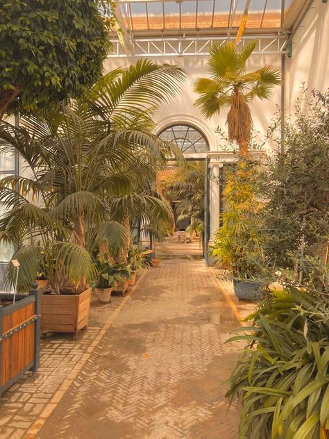 The entrance of the botanic greenhouse. White wall and black big windows surrounded by botanic trees Garden Of Eve Aesthetic, Garden Of Eden Aesthetic, Eden Aesthetic, Eve Aesthetic, Garden Of Eve, Eden Garden, Garden Quotes, Plant Aesthetic, Garden Of Eden