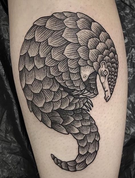 Pangolin Tattoo, Mens Body Tattoos, Africa Tattoos, Etching Tattoo, Simple Tattoos For Women, Mark Tattoo, Tattoo Themes, Elbow Tattoos, Small Tattoos Simple