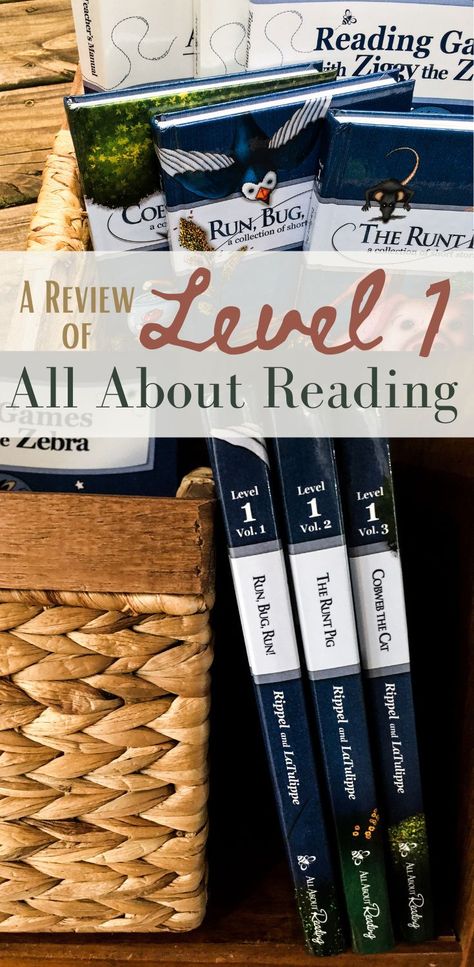 All About Reading Level 1, Lee Child Books, All About Reading, Homeschool Writing Prompts, Best Homeschool Curriculum, Journal Prompts For Kids, Zen Zone, Homeschool Lesson Plans, Homeschool Writing