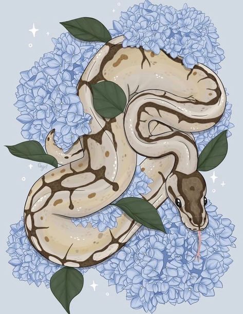 Python Drawing, Albino Ball Python, Snake Drawing, Snake Wallpaper, Album Artwork Cover Art, Cute Cat Memes, Blue Hydrangeas, Cute Reptiles, Cute Snake