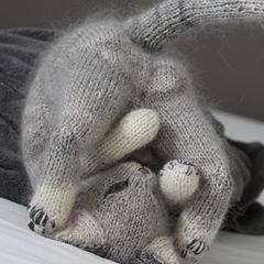 Hilde Dehaen (@minimazzel) • Instagram photos and videos Crochet Objects, Knitted Stuffed Animals, Little Cotton Rabbits, Animal Knitting Patterns, Plushie Patterns, Knitted Cat, Knitting Patterns Toys, Kitten Love, Knitted Animals