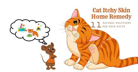 Are you looking for the perfect cat itchy skin home remedy? Read the blog to know the effective cat skin problems home remedies! 😘 #cute #cutecat #cutecats #cathealth Itching Remedies, Cat Skin Problems, Cat Remedies, Itchy Skin Remedy, Itchy Skin Relief, Tips For Dogs, Itching Skin, Cat Skin, Natural Skin Care Remedies