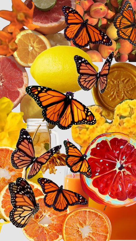 #vintage #vibes #wallpaper #art #tv #citrus #butterfly #monarch Butterfly Monarch, Vibes Wallpaper, Art Tv, Wallpaper Art, Vintage Vibes, Tv, Art