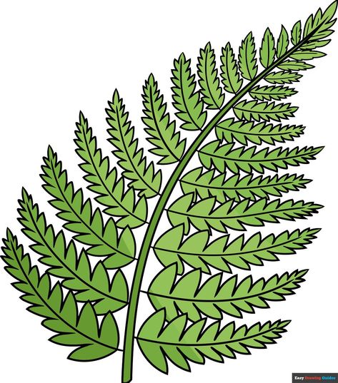 Learn to draw a Fern. This step-by-step tutorial makes it easy. Kids and beginners alike can now draw a great looking Fern. https://easydrawingguides.com/how-to-draw-a-fern/ Easy Fern Drawing, Fern Leaf Drawing Simple, How To Paint A Fern Leaf, Fern Illustration Simple, Fern Clipart, Draw Nature, Fern Plants, Plant Cartoon, Forest Drawing