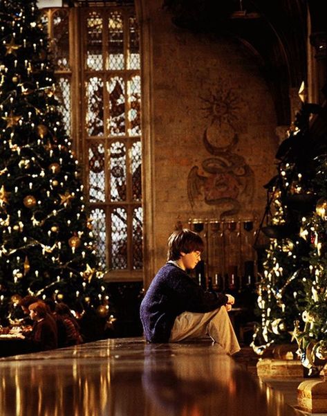 Harry Potter Christmas Aesthetic Wallpaper, Harry Potter Christmas Aesthetic, Garri Potter, Harry Potter Movie Night, Harry Potter Christmas Tree, Hogwarts Christmas, Harry Potter Background, Ghost Of Christmas Past, Harry Potter Scene