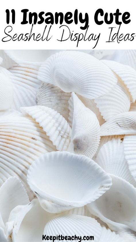 LOVE! This list is full of so many clever ways to display seashells. I am obsessed with the seashell collection box! #seashelldisplay #howtodisplayseashells #seashelldisplay ideas What To Do With Collected Seashells, Display Shells From Vacation, How To Decorate With Seashells, How To Display Shells From The Beach, Displaying Seashells Ideas, How To Display Seashells, What To Do With Seashells From Vacation, Display Seashells Ideas, How To Display Shells