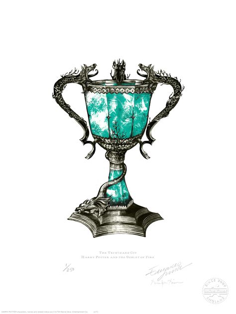 The Triwizard Cup, featured in Harry Potter and the Goblet of Fire Triwizard Cup, Harry Potter Goblet, Imprimibles Harry Potter, Harry Potter New, Harry Potter Stickers, Fire Drawing, Anniversaire Harry Potter, The Goblet Of Fire, Harry Potter Tattoos