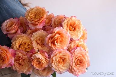 Free Spirit Rose, Flower Moxie, Flower Games, Peach Wedding Flowers, Peach Palette, Rose Varieties, Bride Flowers, Flower Care, Diy Wedding Flowers