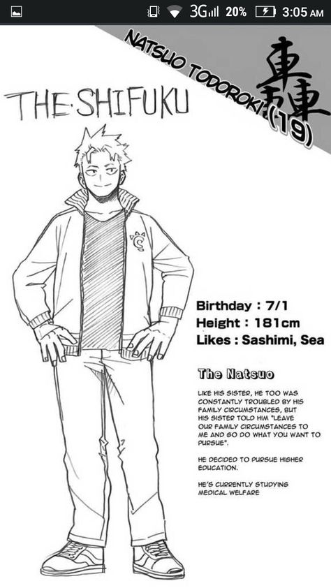 Todoroki Natsuo, Manga Design, Boku No Academia, Character Analysis, Class 1 A, Book Writing Inspiration, Art Manga, Character Profile, Character Sheet