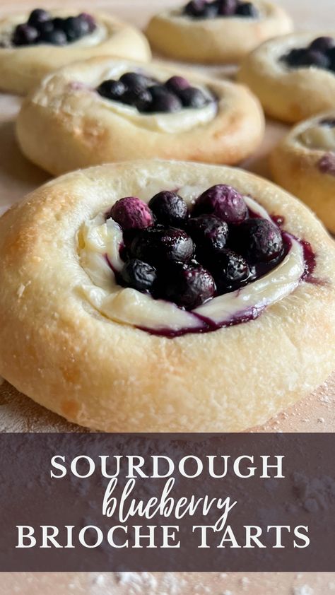 Soft brioche rolls filled with cheesecake filling make these sourdough blueberry brioche tarts irresistible. Somewhere inbetween a sourdough kolache and a sourdough cheese danish. Blueberry Brioche, Dough Starter Recipe, Sourdough Blueberry, Recipe Using Sourdough Starter, Sourdough Bread Starter, Dough Starter, Brioche Rolls, Sourdough Starter Discard Recipe, Homemade Sourdough Bread