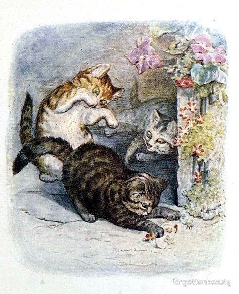 The Tale of Tom Kitten - Beatrix Potter Beatrix Potter Illustrations, Tom Kitten, Beatrice Potter, Peter Rabbit And Friends, Cat Drawings, Garden Illustration, Potter Art, Little Kittens, Cats Illustration