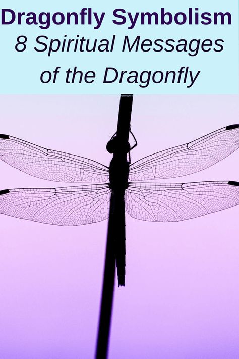 Dragonfly Symbolism: 8 Spiritual Messages of the Dragonfly — Amanda Linette Meder Dragonfly Meaning Spiritual Dragon Flies, Symbolism Of Dragonflies, What Does A Dragonfly Symbolize, Dragon Fly Spiritual Meaning, Dragonfly Symbolism Meaning, Dragonfly Spirit Animal, Seeing Dragonflies Meaning, Dragonflies Meaning, Dragonfly Meaning Spiritual Tattoo Ideas