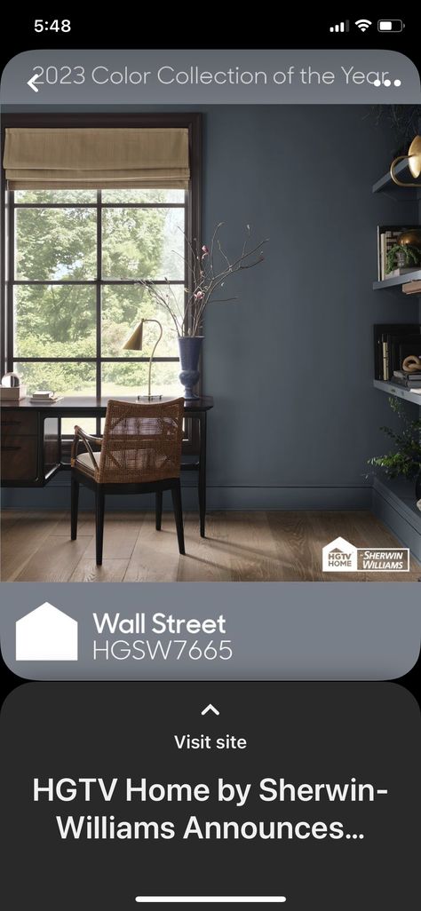 Sherwin Williams Wall Street, Wall Street Sherwin Williams, Dining Room Colors, Room Color, Sherwin Williams, Color Collection, Room Colors, Wall Street, Boy Room