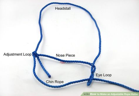 Diy Goat Halter, Cow Halter, Diy Halter, Goat Pen, Buy A Horse, Calf Roping, Horse Halters, Horse Halter, Rope Halter